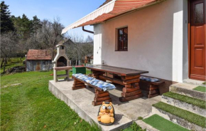 Amazing Home In Brod Na Kupi With Kitchen